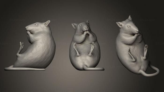 Animal figurines (Rat, STKJ_0409) 3D models for cnc